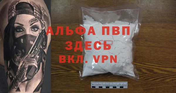 стаф Саки
